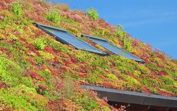 Comberford living roof systems