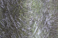 Comberford fibreglass roof work